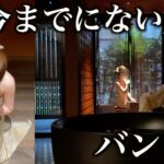 最新記事のアイキャッチ画像